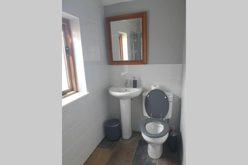 Willow Lodge Абъргавени Екстериор снимка