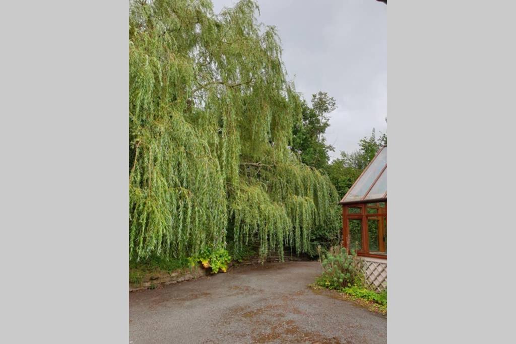 Willow Lodge Абъргавени Екстериор снимка